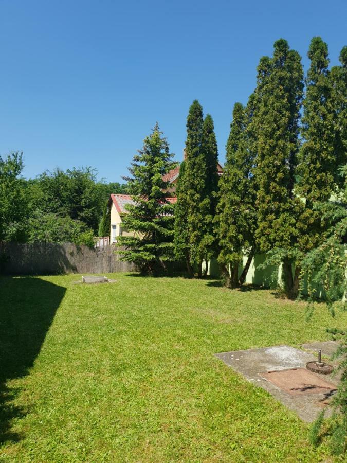 Zseki Apartman Hajduszoboszlo Exterior photo